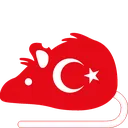 rat_Turkey rat_Turkey