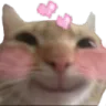 CatHearts