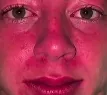 tomate