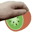 Kiwipet Kiwipet