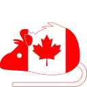 rat_Canada rat_Canada