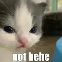 Not_Hehe