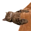 raskumar Discord Emoji