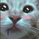 Catuwu catuwu Discord Emoji