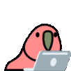 MIDN_laptop