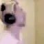 ILOST