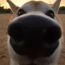 hello
