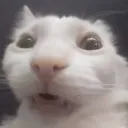 DAHELLL