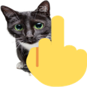 middle_finger_cat Discord emoji