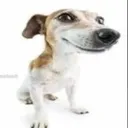 Sussybaka SUSSYBAKA Discord Emoji