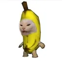 Bananacat bananacat Discord Emoji