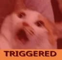 triggered Discord Emoji
