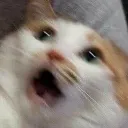 AAAAA