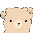 alpaca100Stare