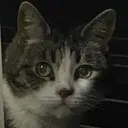 rosieSeesYourSoulAndItsNotGreat