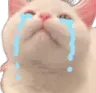 KittyCry