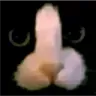 cb_gatopica