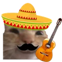 swagxican Discord Emoji