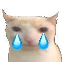 bruhcatsad