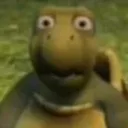 wdf