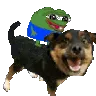 dogride