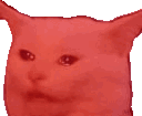 SB_memecat Discord Emoji