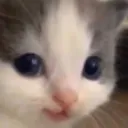 hehe