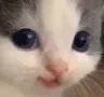 hehe hehe