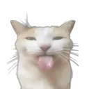 bleh