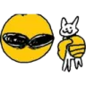 NEU_iwillusemyrabbitonyou
