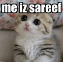 tmr_me_iz_sareef Discord sticker | TMR Esports