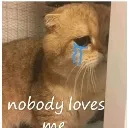 Nobodyloveme Nobodyloveme