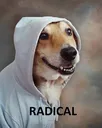 Radical