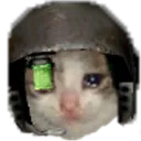 marine_sad_kitty_face