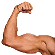 FlexLeft