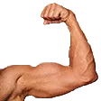 FlexRight