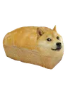doge