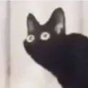 EB_cat2
