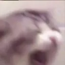 aaaa