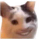 Cat Smile Catsmile Discord Emoji