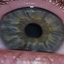 dd_nev_eye1
