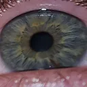 dd_nev_eye2