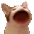PopCat