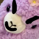 evilalpaca