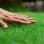 gotouchgrass