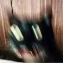 EB_cat7