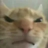 Angry