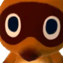 stare
