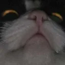 Boof bOOf Discord Emoji