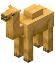camel camel